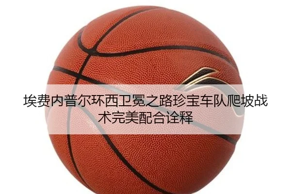 ai-fei-nei-pu-er-huan-xi-wei-mian-zhi-lu-zhen-bao-che-dui-pa-po-zhan-shu-wan-mei-pei-he-quan-shi-3-360.jpg