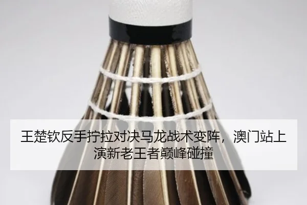 王楚钦反手拧拉对决马龙战术变阵，澳门站上演新老王者巅峰碰撞