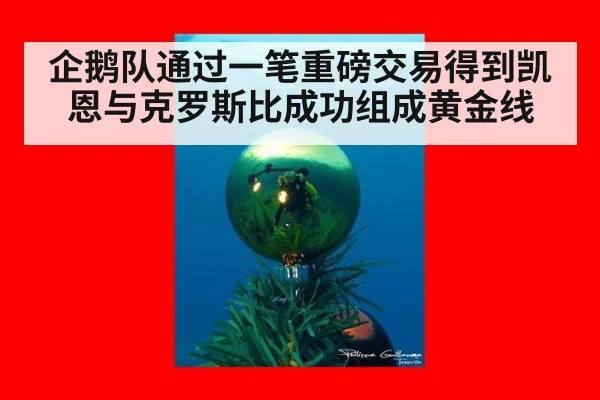 企鹅队通过一笔重磅交易得到凯恩与克罗斯比成功组成黄金线